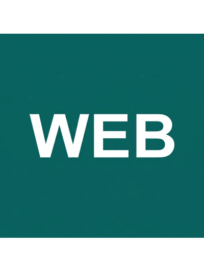 TMS WEB Core